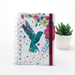 Agenda Colibrí